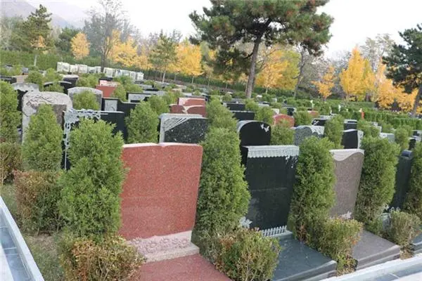 北京代祭扫服务包括哪些？