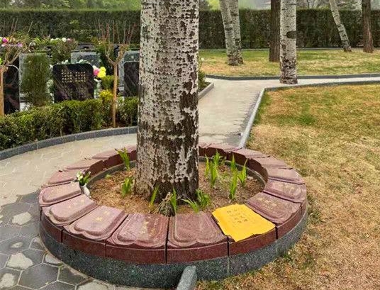 北京树葬公墓有哪几家