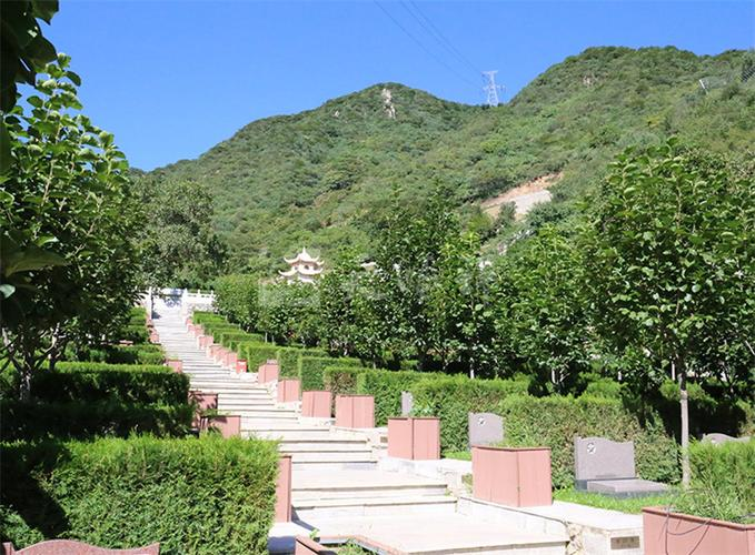 公墓价格趋势预测：未来墓地市场的走向如何