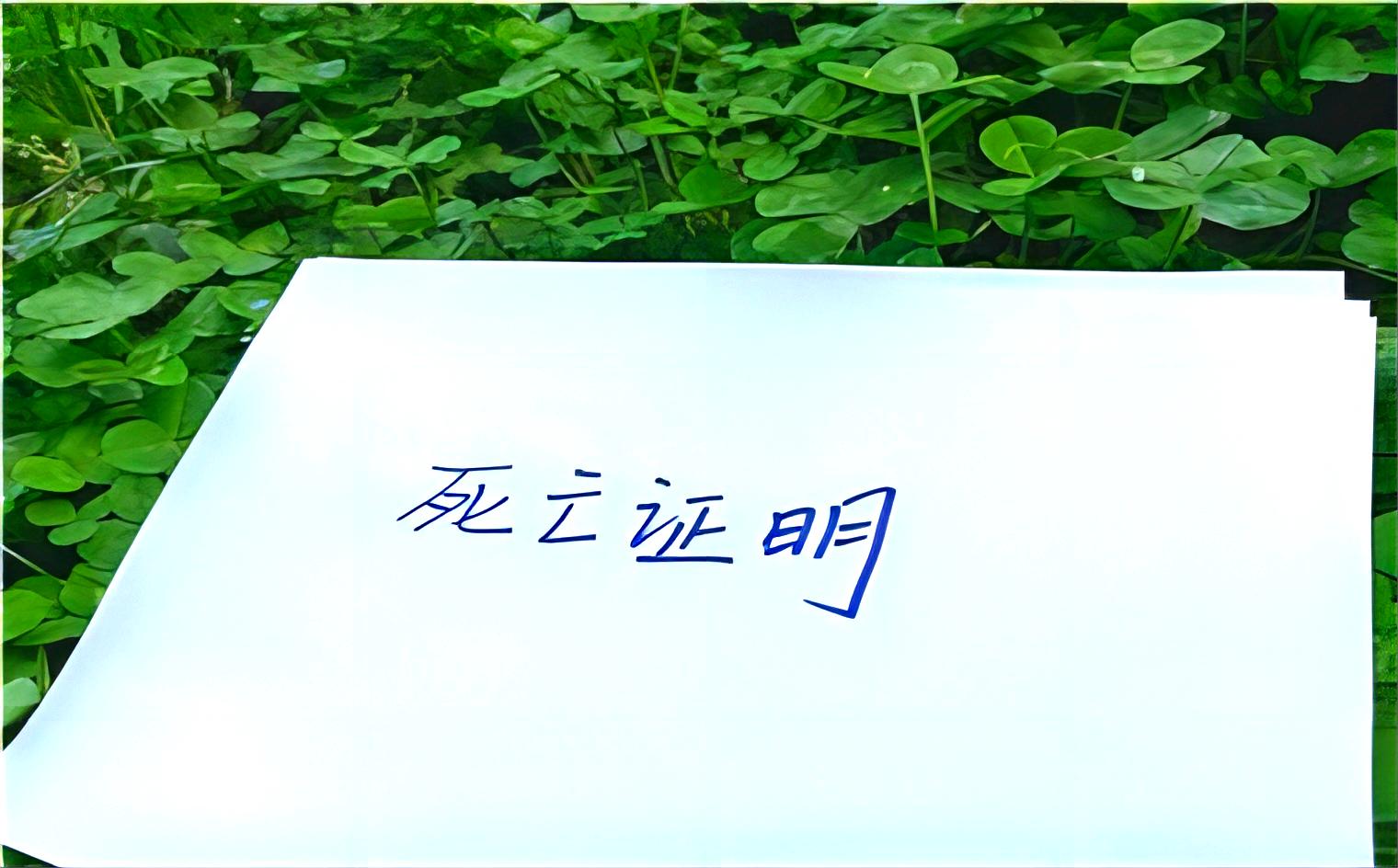 北京死亡证明到什么地方办理，北京办理死亡证明需要什么证件？